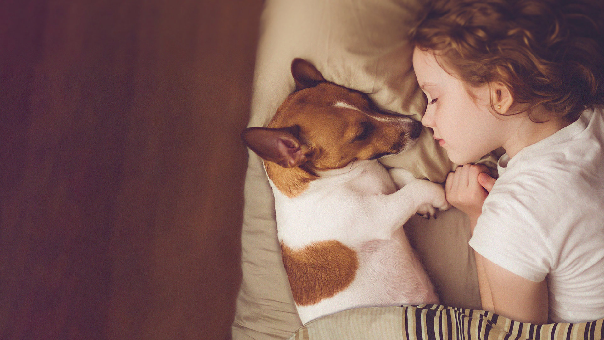 專(zhuān)業(yè)消毒公司哪家好